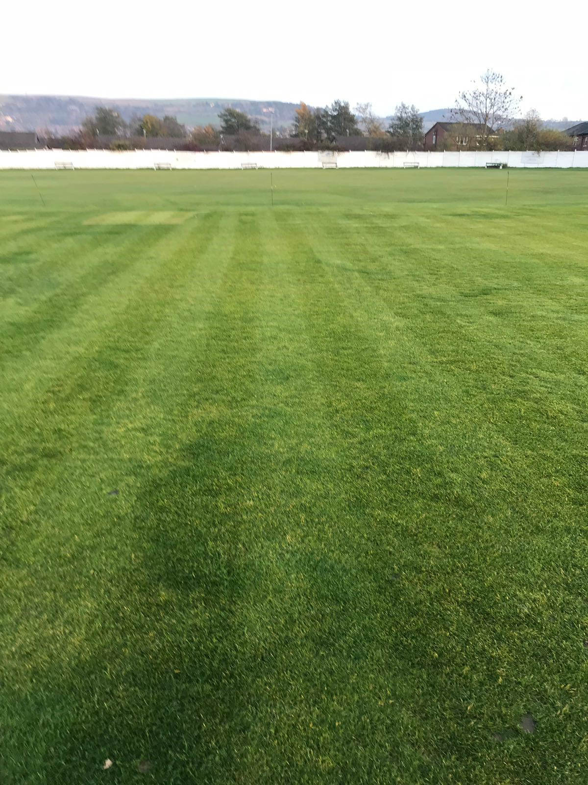cricket-pitch